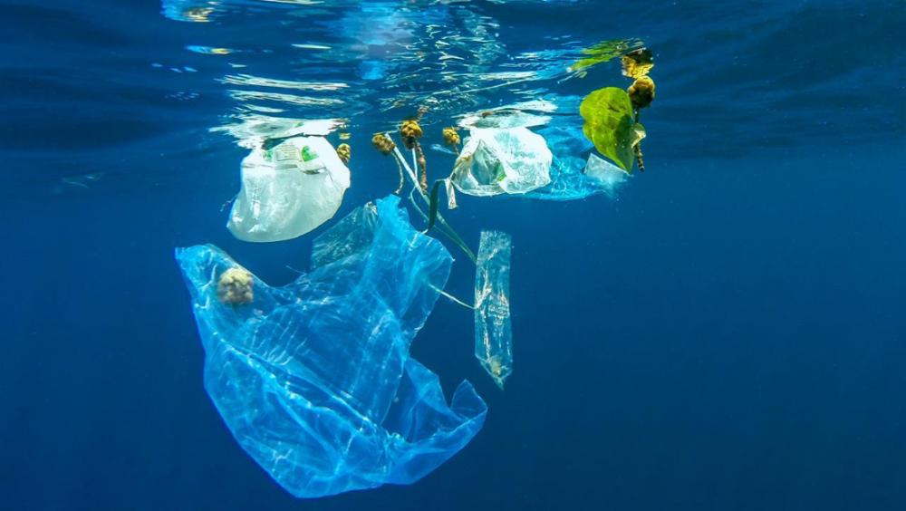 Откуда берется пластик в мировом океане?