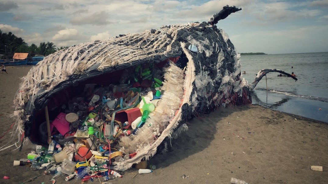 Влияние пластиковых отходов для Мирового океана и планеты в целом. Серьёзные проблемы, которые неминуемо аукнутся
